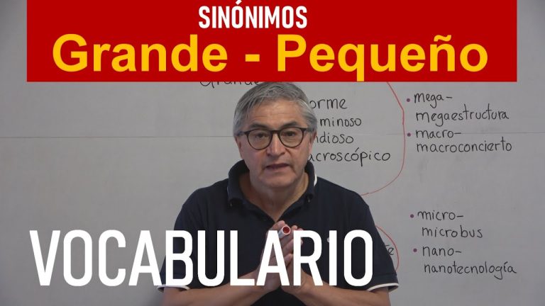 Sinónimos de tamaño pequeño