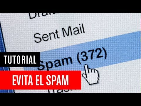 7 maneras efectivas de acabar un correo de forma profesional